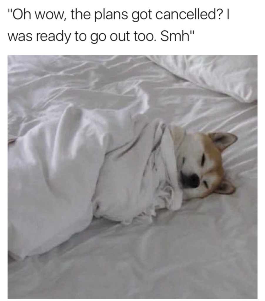 24-funny-sleep-memes-for-sleep-deprived-people-to-relate-to-sittercity