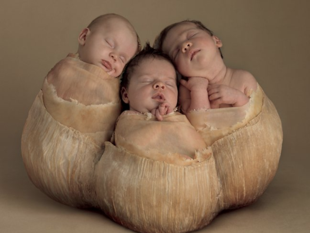 Anne geddes фото